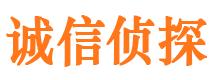 阳新外遇调查取证